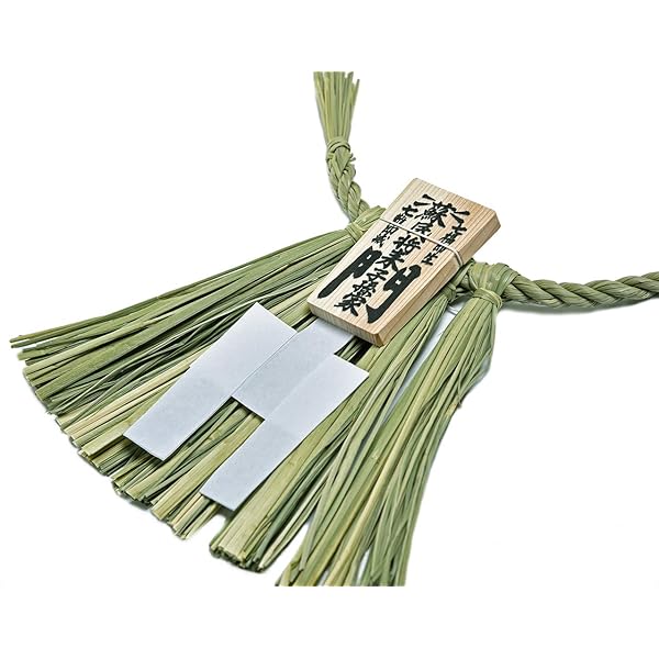 Amazon | [UNICITY] バイオスライフ マノス | 食物繊維